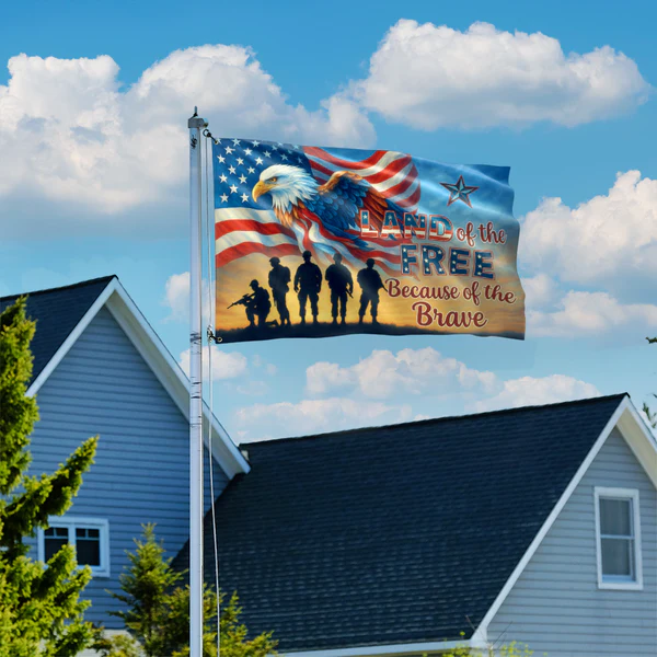 ๐ 250th Anniversary USA Flag