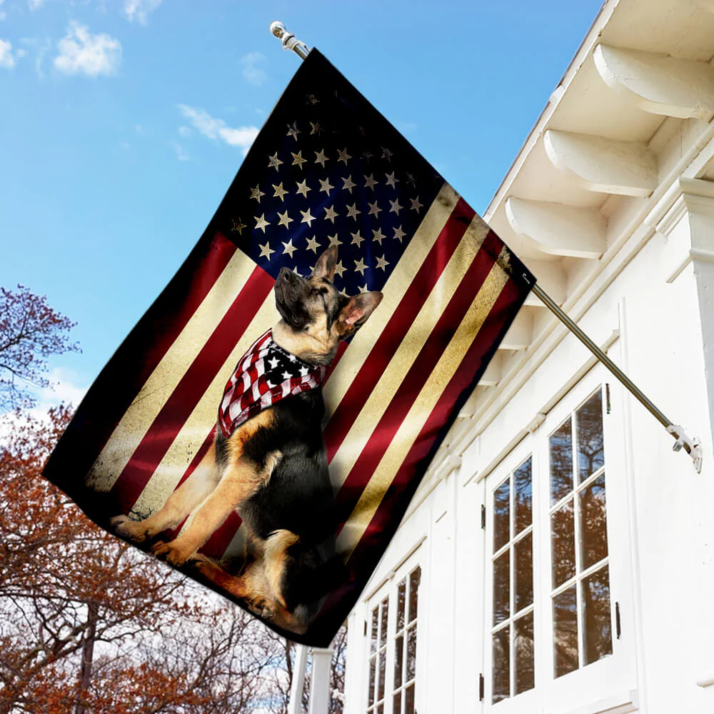 🐕 4th of July Patriotic Pet Decor