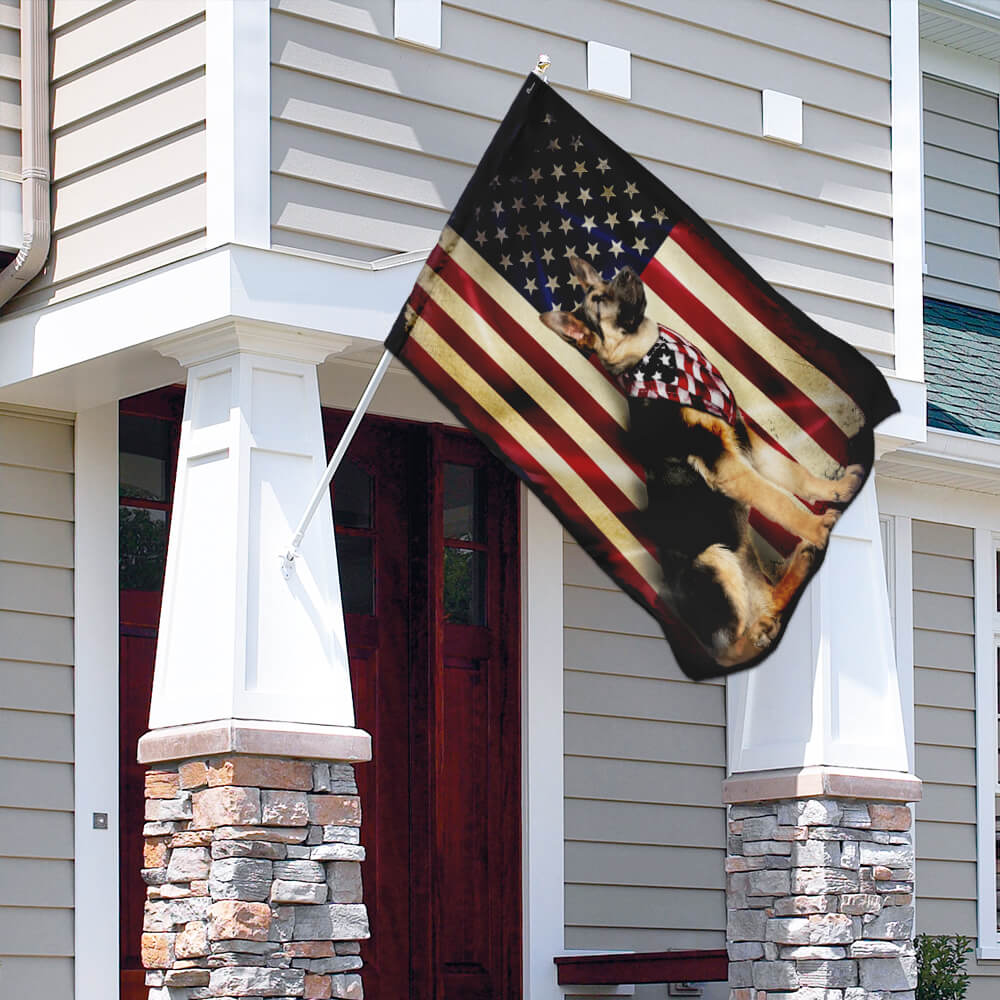 🐕 4th of July Patriotic Pet Decor