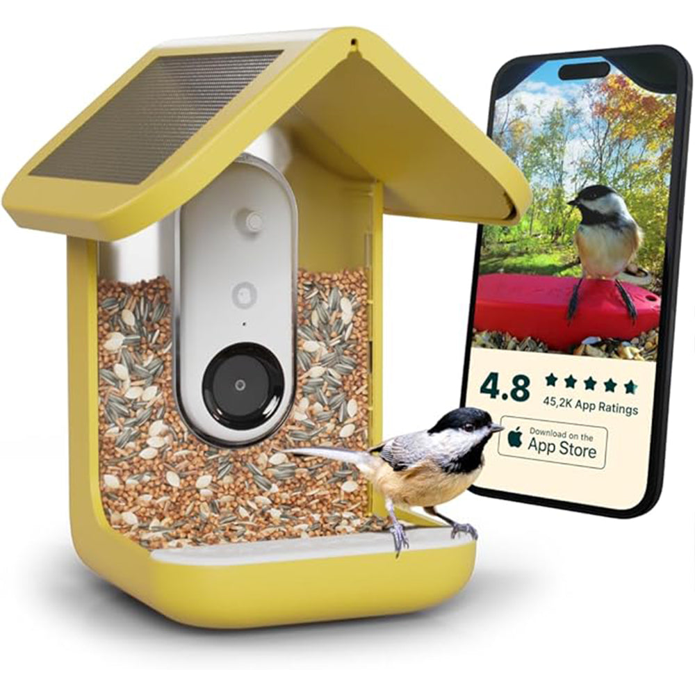 🌞 Solar Bird Feeder with Camera – 50% OFF Today! 🐦📸