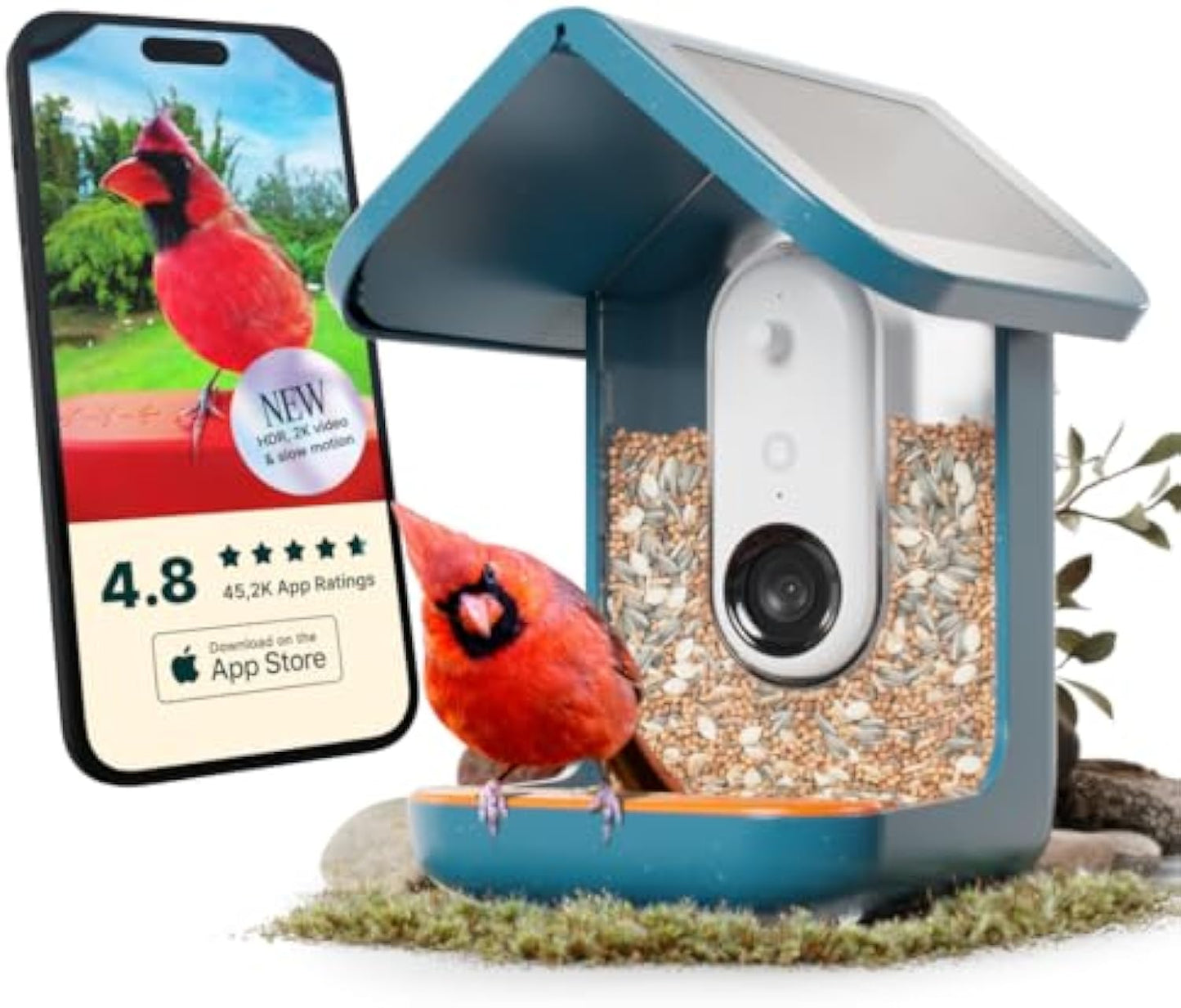 🌞 Solar Bird Feeder with Camera – 50% OFF Today! 🐦📸