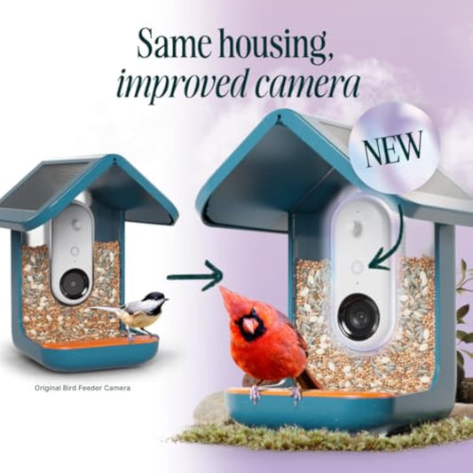 🌞 Solar Bird Feeder with Camera – 50% OFF Today! 🐦📸
