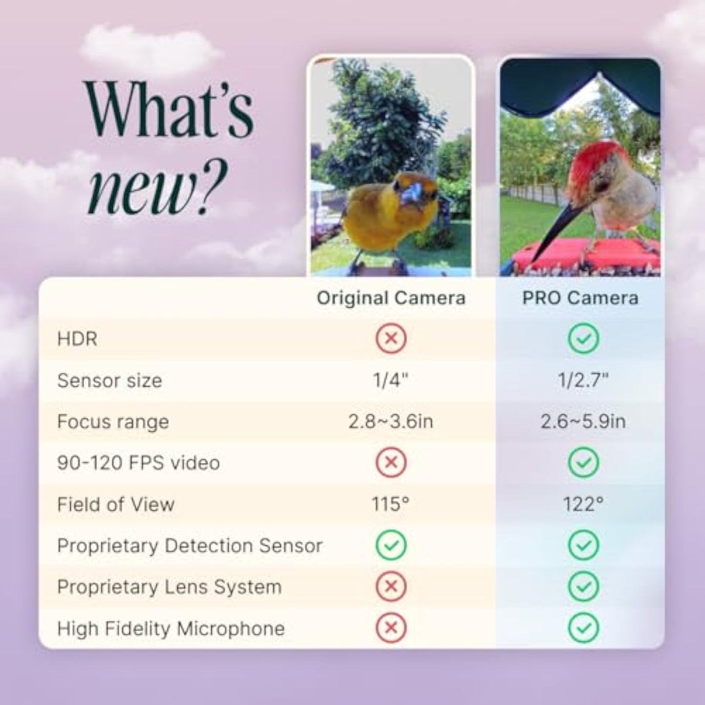 🌞 Solar Bird Feeder with Camera – 50% OFF Today! 🐦📸