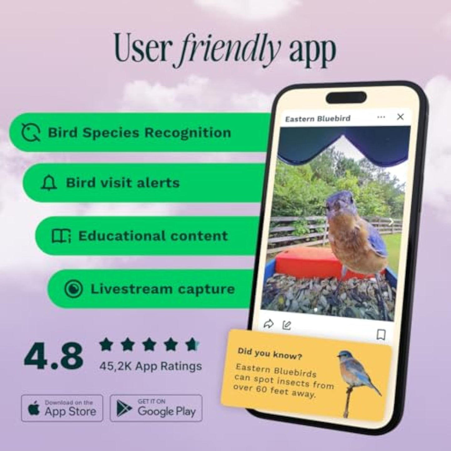 🌞 Solar Bird Feeder with Camera – 50% OFF Today! 🐦📸